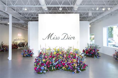 villa dior los angeles|miss Dior event.